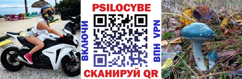 Псилоцибиновые грибы прущие грибы  Ленинградская 
